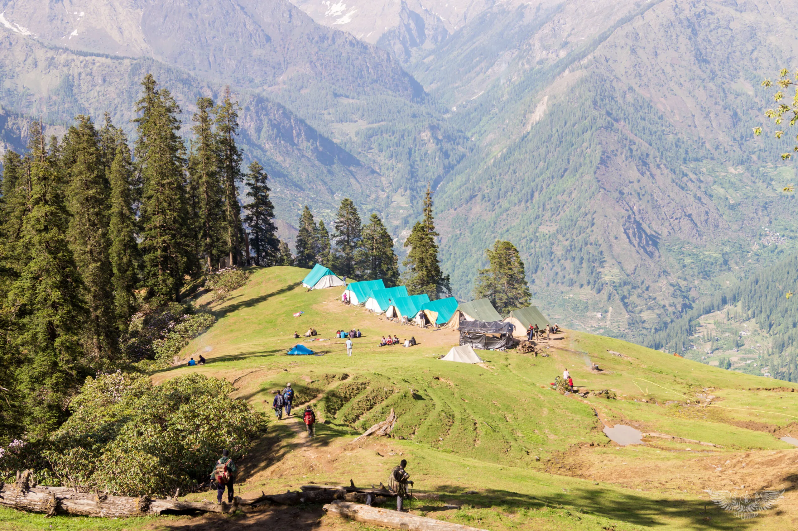 Camp-biskeri